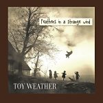 Toy Weather - Feathers in a strange wind